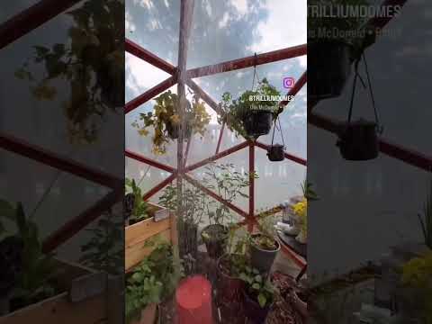 Beginner Dome Greenhouse Trillium Dome Plans #diy