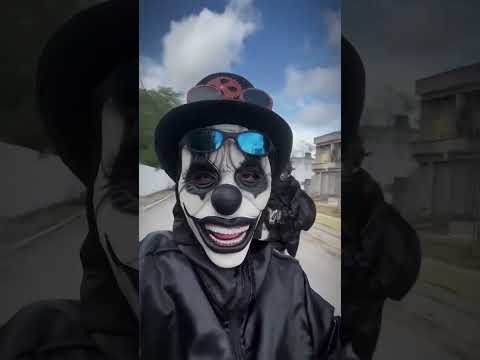 BURRINHA DE BIZARRAS DO BOM JARDIM PERNAMBUCO