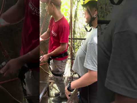 Fly jungle  puerto iguazu misiones #fly #iguazu #jungla #selva #misiones