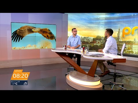 Orao krstaš umalo nestao sa neba Srbije, kakva je sada situacija?