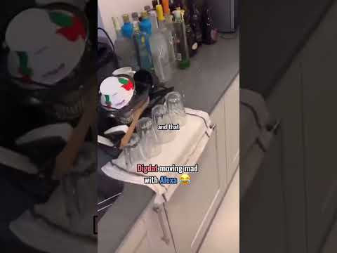 When Digdat said this to his Alexa 😂Always gets me🤣😭 #funny #rap