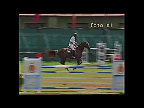 Rock Star Castellane - CSI2* Sanremo 135 (23.06.13)
