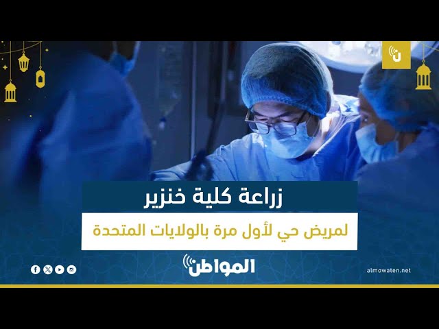 نجاح زراعة كلية خنزير لمريض حي لأول مرة بأمريكا