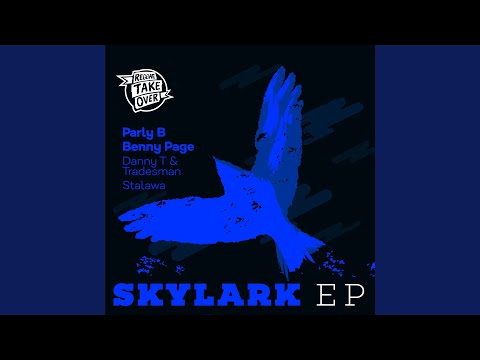 Skylark (Danny T & Tradesman Remix)