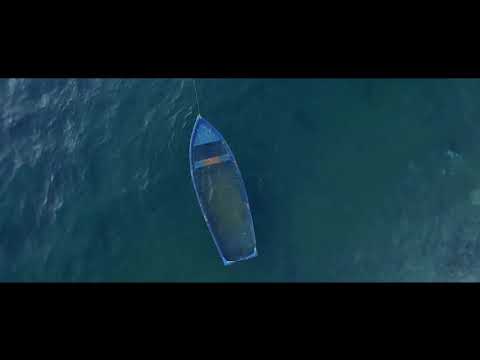 Summer of '19 - Maybe LB Did It (Official Music Video)