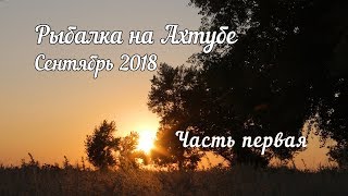 Ссылка