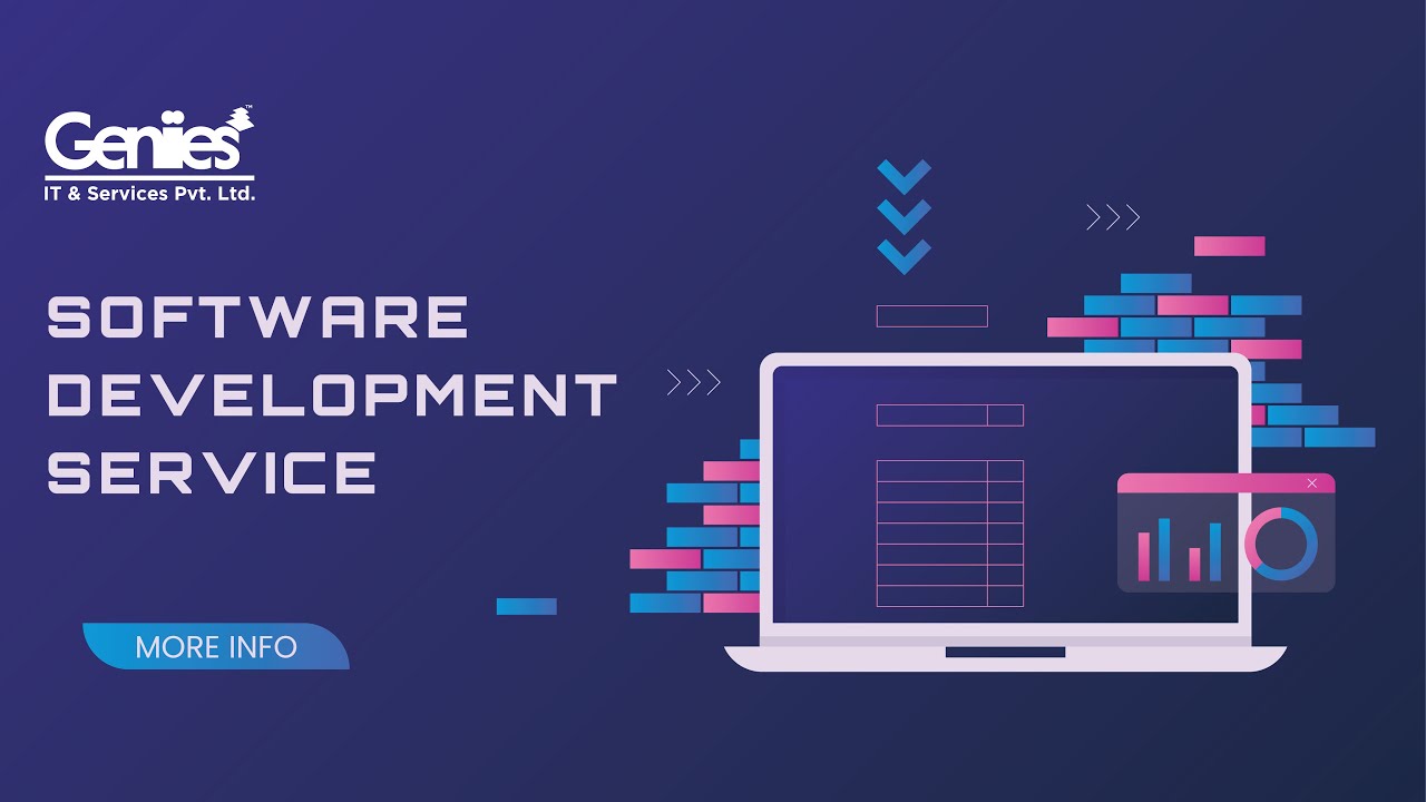 Geniies Software Development Service Explainer Video
