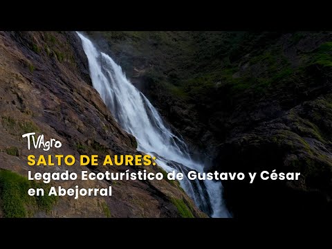 Salto del Aures en medios
