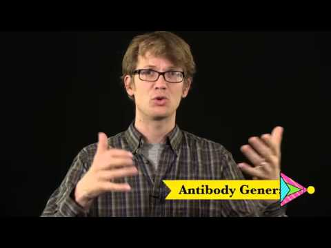 01   Crash Course Biology   32   Your immune system  Natural born killer