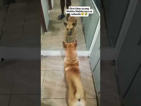 first time nyang Makita Mukha nya sa salamin🤣#moreviews