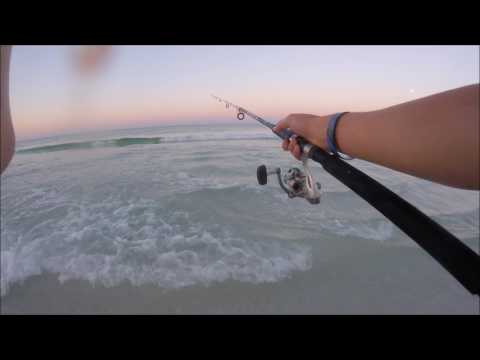 download lagu mp3 mp4 Fort Walton Beach Fishing Report, download lagu Fort Walton Beach Fishing Report gratis, unduh video klip Download Fort Walton Beach Fishing Report Mp3 dan Mp4 Popular Gratis