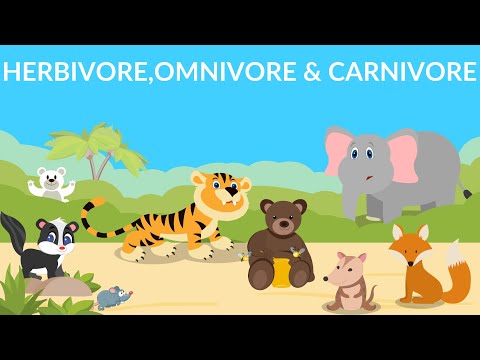 Herbivores, Carnivores & Omnivores d…: English ESL video lessons Herbivores, Carnivores & Omnivores d…: English ESL video lessons
