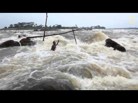 60 segundos de vida no rio Congo