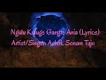 Ngulu Kuluge gangte ania(Lyrics) /Ashok Sonam Tajo/ Nyishi song/Arunachalee local song lyrics