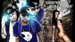 Booty Grande - Alex Kyza Ft. De La Ghetto, Randy & Guelo Star.wmv