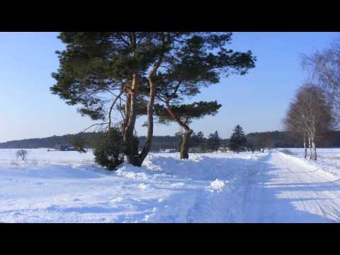 Szubin - zima (luty '10) [Szubin - winter (February '10)] [HD]