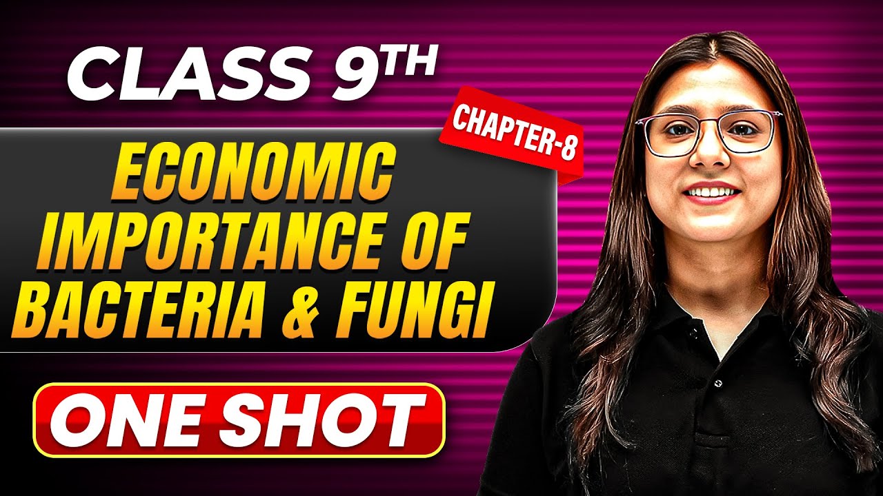 ECONOMIC IMPORTANCE OF BACTERIA AND FUNGI in One Shot | Class 9 BIOLOGY | ICSE Board
