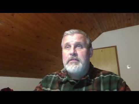 Cargo X Information in Egypt  CargoX insight for the exporters