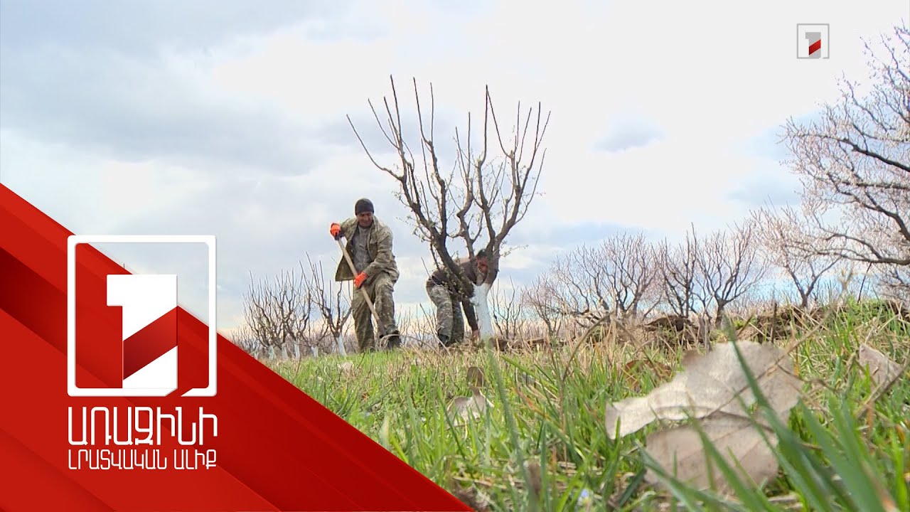 Հողը պարարտացնելուց առաջ ճիշտ է ծանոթանալ ագրոքիմիական տեսքին. մոտ 40 հազար հա արդեն քարտեզագրված է