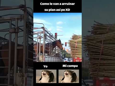 Como le van arruinan su plan 😂🙌 #humor #amigos #memes
