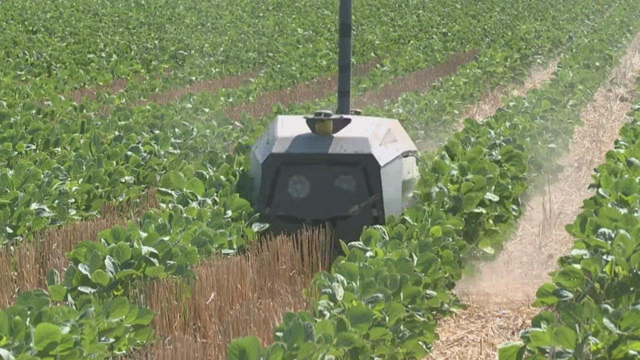 Company finds new way to eliminate chemicals in farming