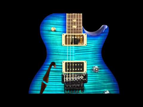 PRS Neal Schon NS-14 Guitar. Nice as apple pie and kittens