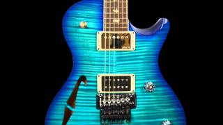 PRS Neal Schon NS-14 Guitar. Nice as apple pie and kittens