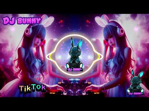 Guo Lu De Wan Feng - 過路的晚風 - Remix Manyao 2024