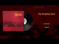 Soel - My Singing Soul (Vinyl Visualizer)