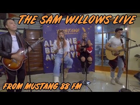 The Sam Willows - Papa Money (Live Performance)