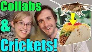 COLLAB With Clint's Reptiles- We Eat Cricket Tacos! by Snake Discovery