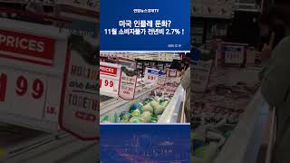 미국 인플레 둔화?…11월 소비자물가 전년대비 2.7%↑