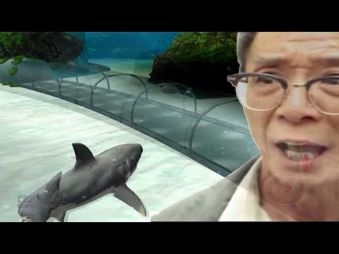 Licensed Cucumbers | The 10 Worst Movie Licensed Games