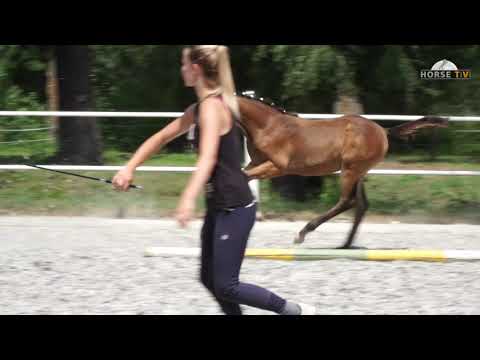 Schirmer, Conthargos-Balou du Rouet-Ramino