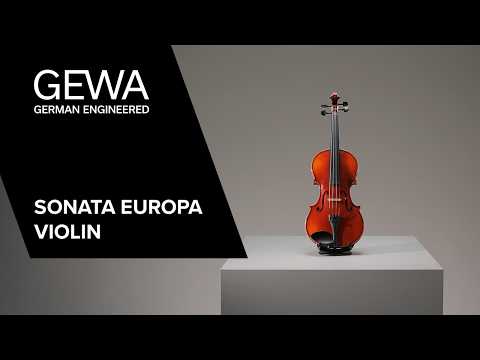 Скрипка GEWA Sonata 4/4 (комплект)