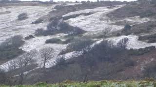 Video of today's snow on Ventnor Down