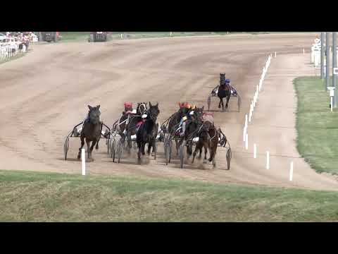 2019.06.15. 07. futam - DIKTÁTOR HENDIKEP