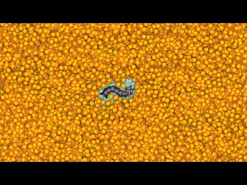 Snake.io Lovely Snake Bragi Skill Epic Snake io Fun Gameplay! - YouTube