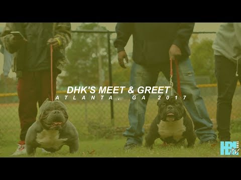 DHK'S MEET & GREET [HD] @HOLLYWOODBULLYLOOKS