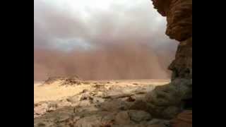 El Paramo - Varicela