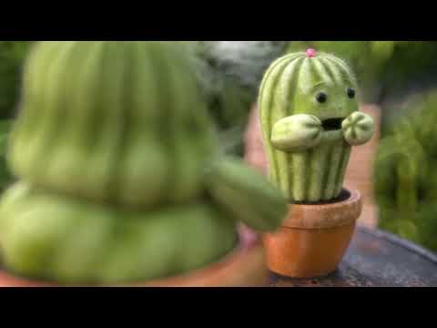 SAE ZRH Visual Effects & 3D Animation Showreel 2023