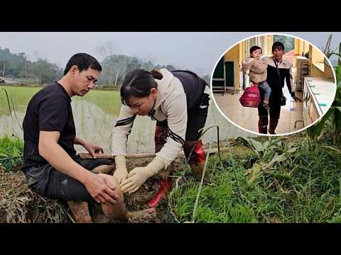 Thu was very worried when Hoi had an accident while helping her in the fields.