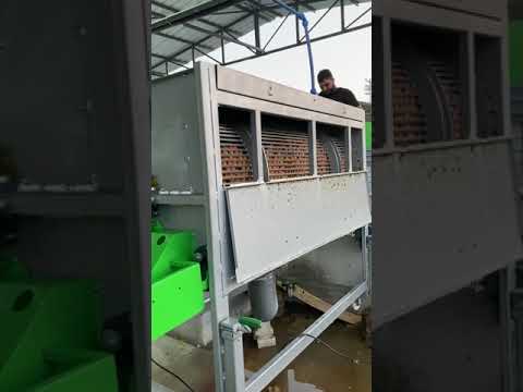 Kadıoğlu Magnum 2 Ceviz Soyma Makinası İlk Çalıştırma