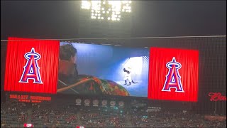 Rally monkey ET movie