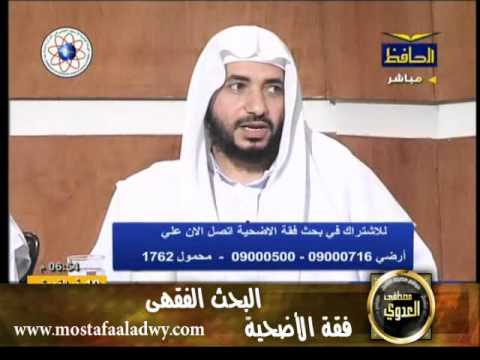  منوعات 53 البحث الفقهى قناة الحافظ فقة الأضحية 