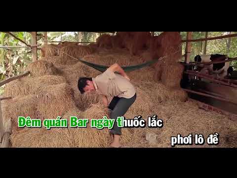 HZBV4 ➤ Cha Mẹ Con Sai Rồi
