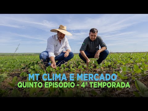 Mato Grosso Clima e Mercado - Episódio 5