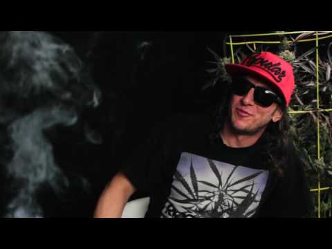 Between Two Strains - Jay Kush Cake Pops