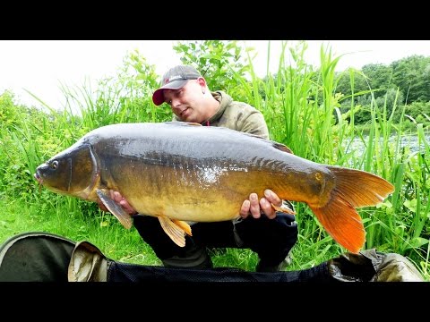 Karpfenangeln - Videotagebuch 2 -  Instant mit Waftern und Chodrig