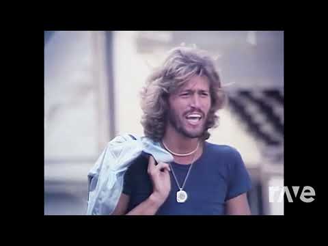 Stayin Alive in the Wall  (Rave.DJ Mashup)